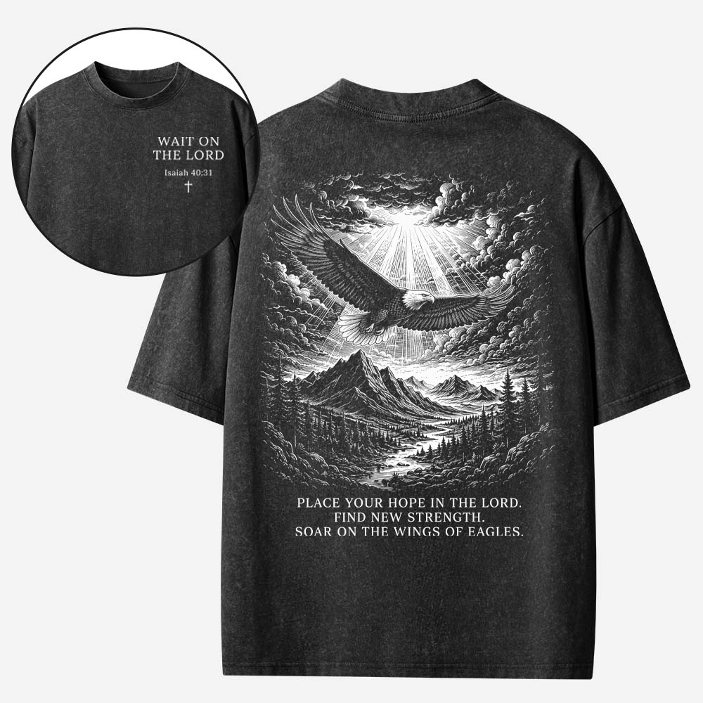 Soaring Eagle Vintage Washed T-Shirt