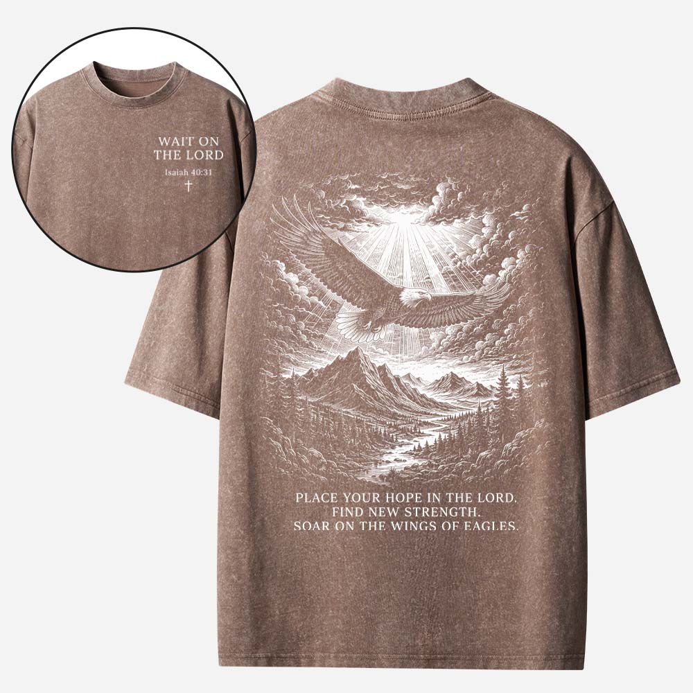 Soaring Eagle Vintage Washed T-Shirt