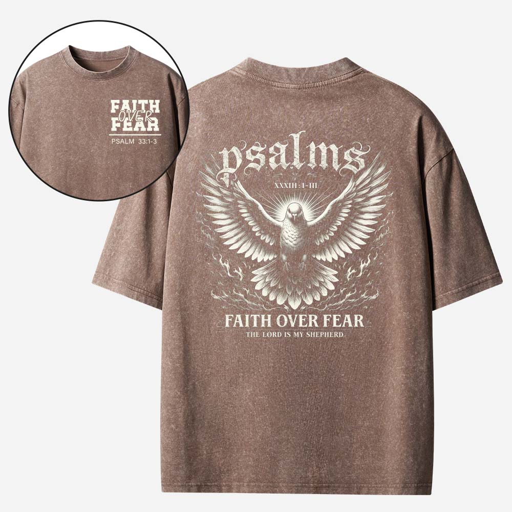 Dove Graphic Vintage Washed T-Shirt