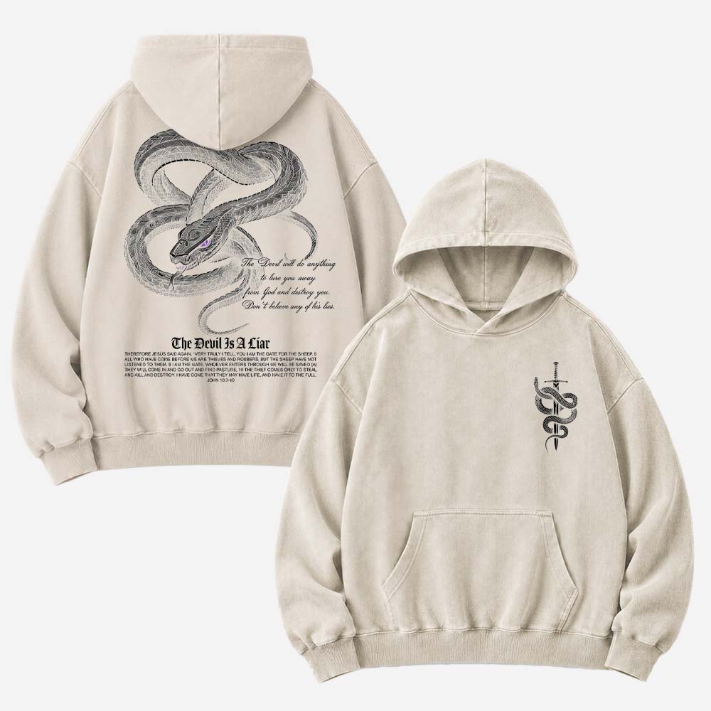 Serpent Deceiver Vintage Washed Hoodie