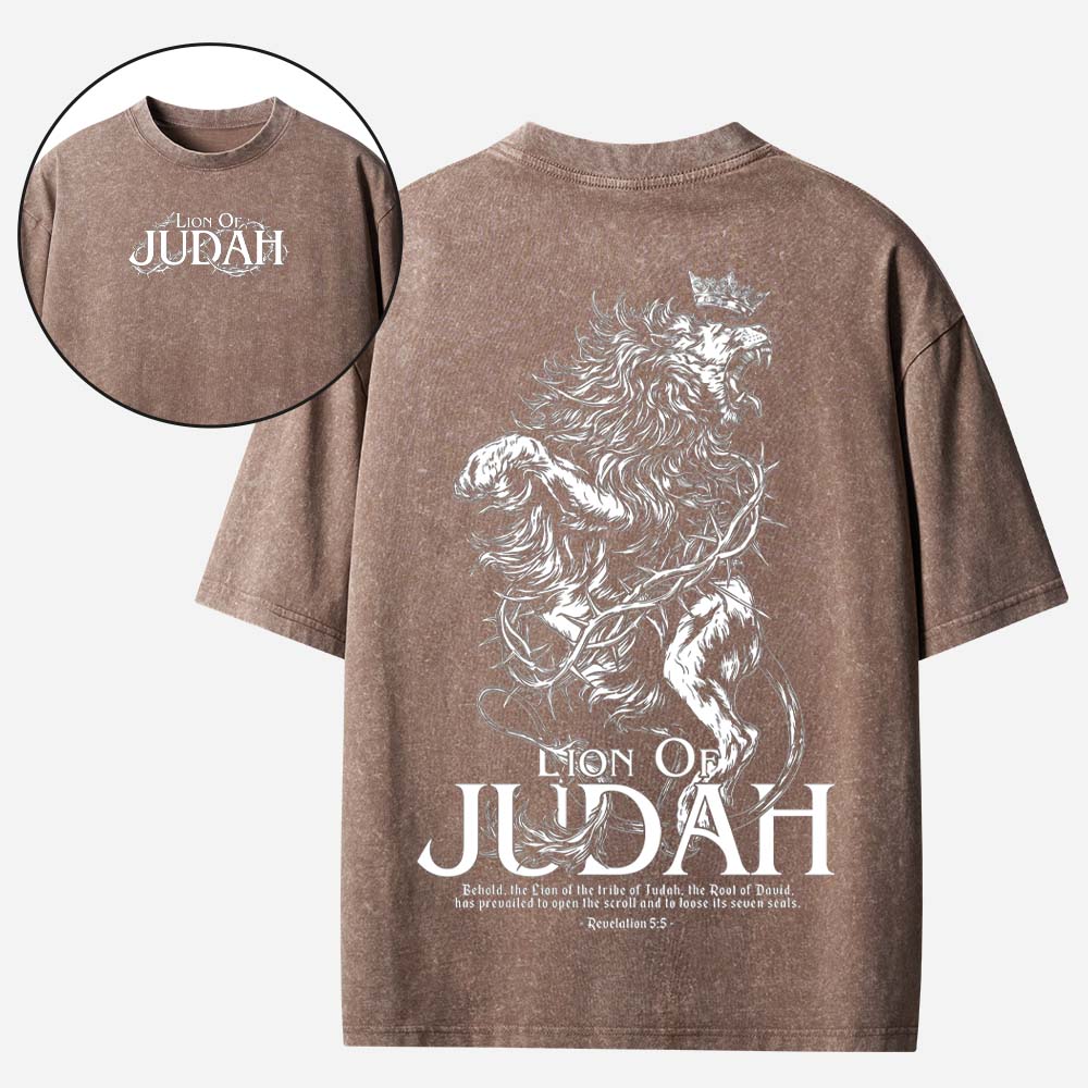 Crowned Lion Vintage Washed T-Shirt