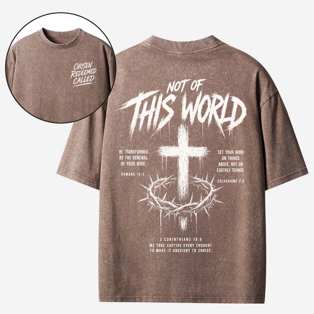 Not This World Vintage Washed T-Shirt