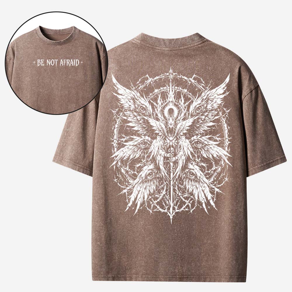 Fearless Eye Wing Vintage Washed T-Shirt
