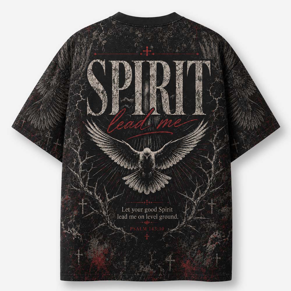 Guiding Dove Eco Oversized Graphic Tees · GRS Certified