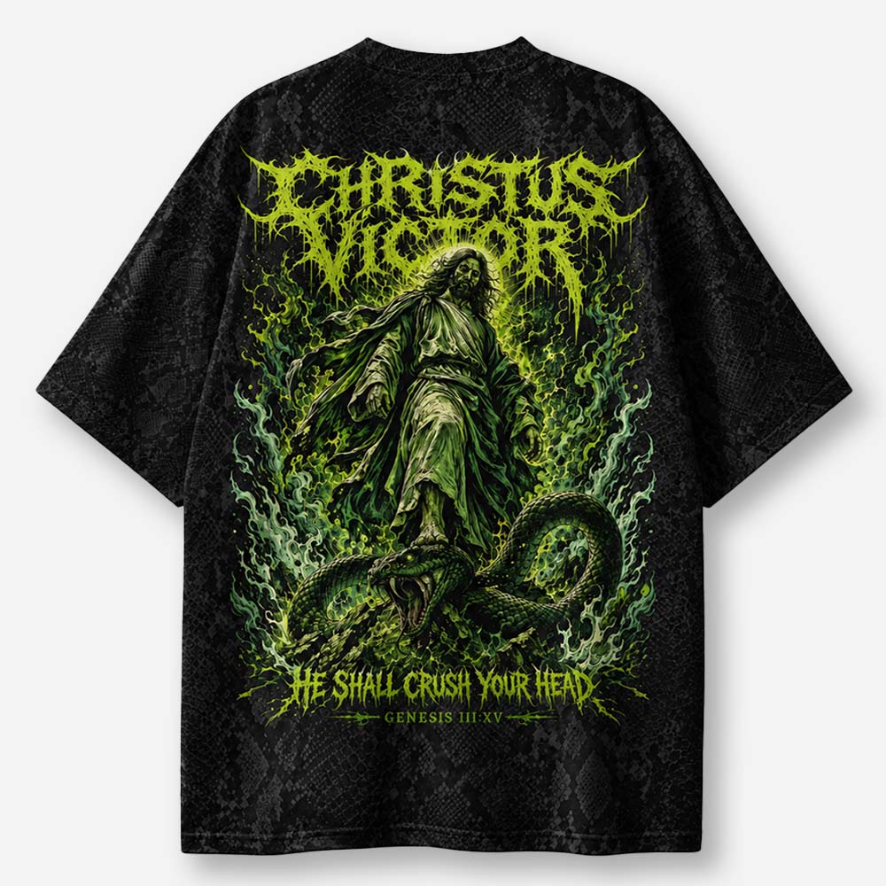 Serpent Slayer Eco Oversized Graphic Tees · GRS Certified