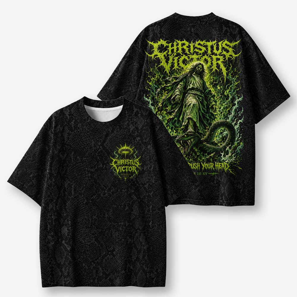 Serpent Slayer Eco Oversized Graphic Tees · GRS Certified