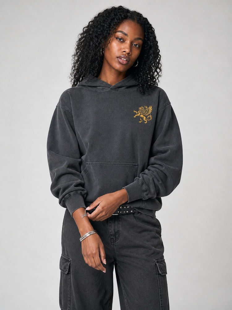 Fearless Vintage Washed Hoodie