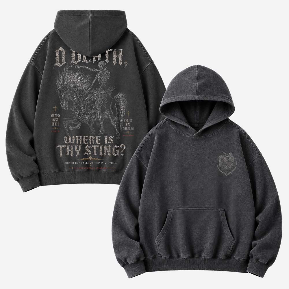 Victory Rider Vintage Washed Hoodie
