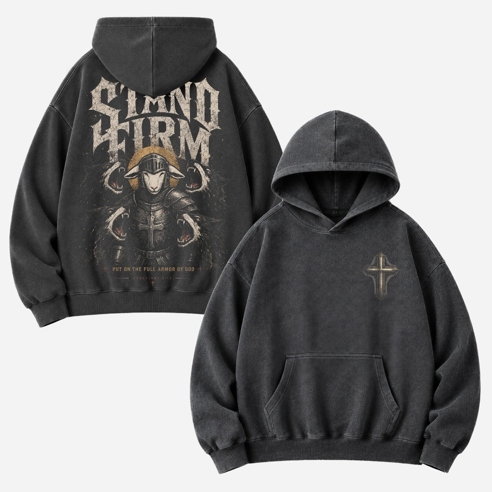 Armored Lamb Vintage Washed Hoodie