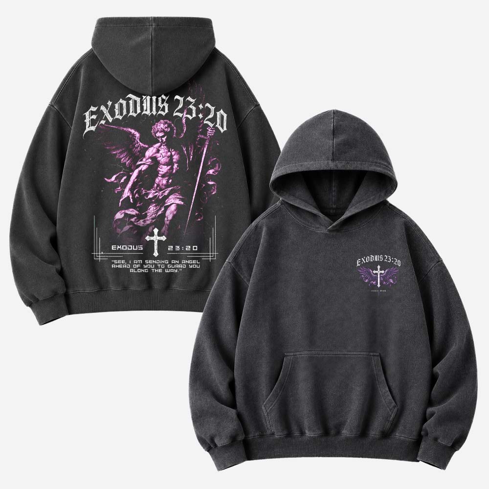 Violet Sentinel Vintage Washed Hoodie