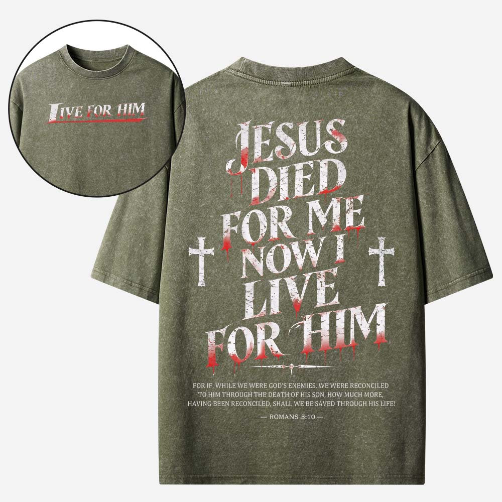 Live With Purpose Vintage Washed T-Shirt