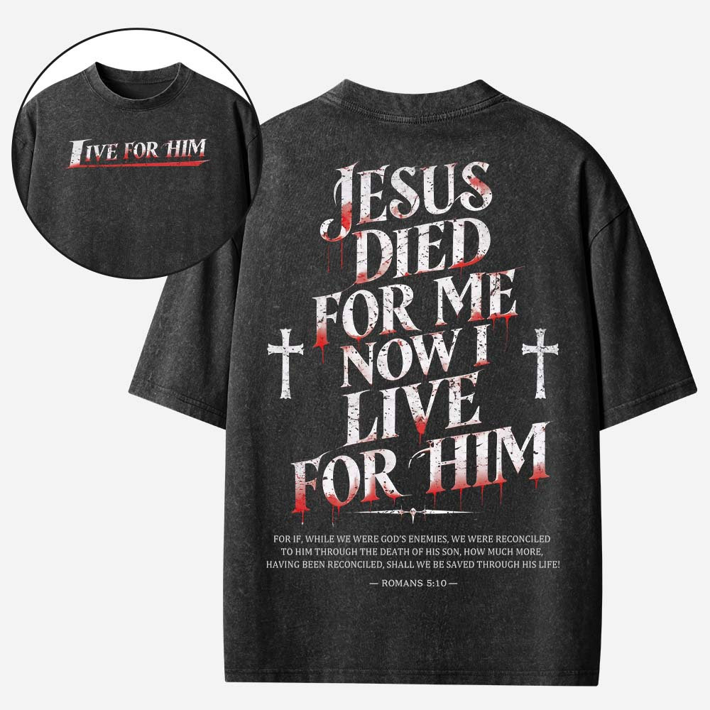 Live With Purpose Vintage Washed T-Shirt