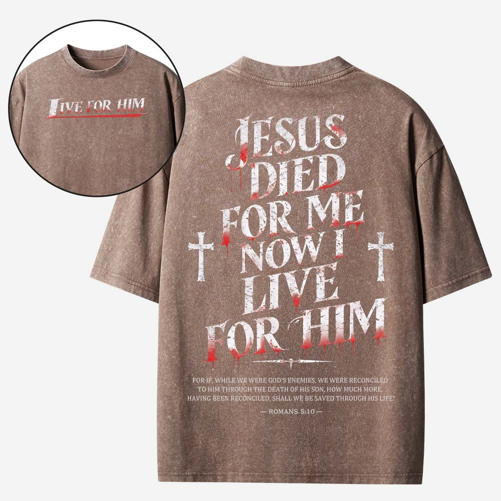 Live With Purpose Vintage Washed T-Shirt
