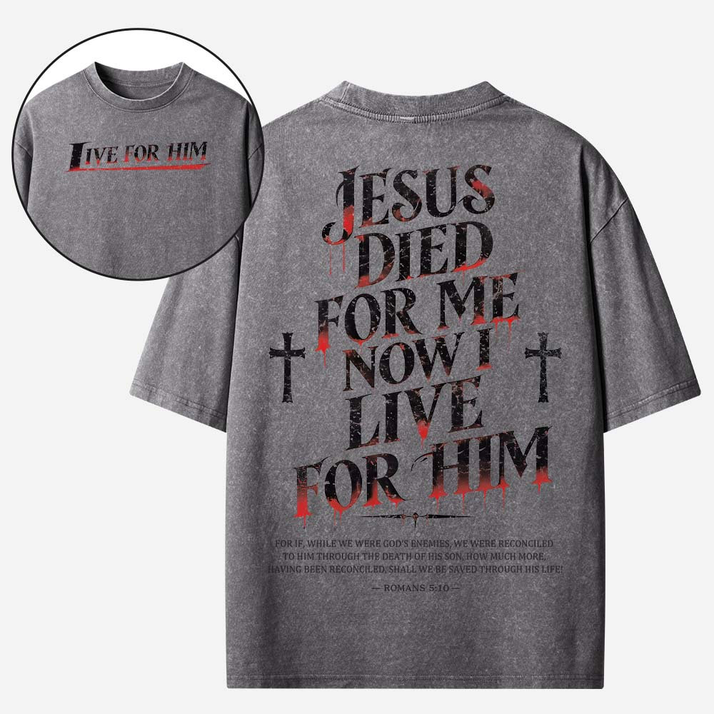 Live With Purpose Vintage Washed T-Shirt