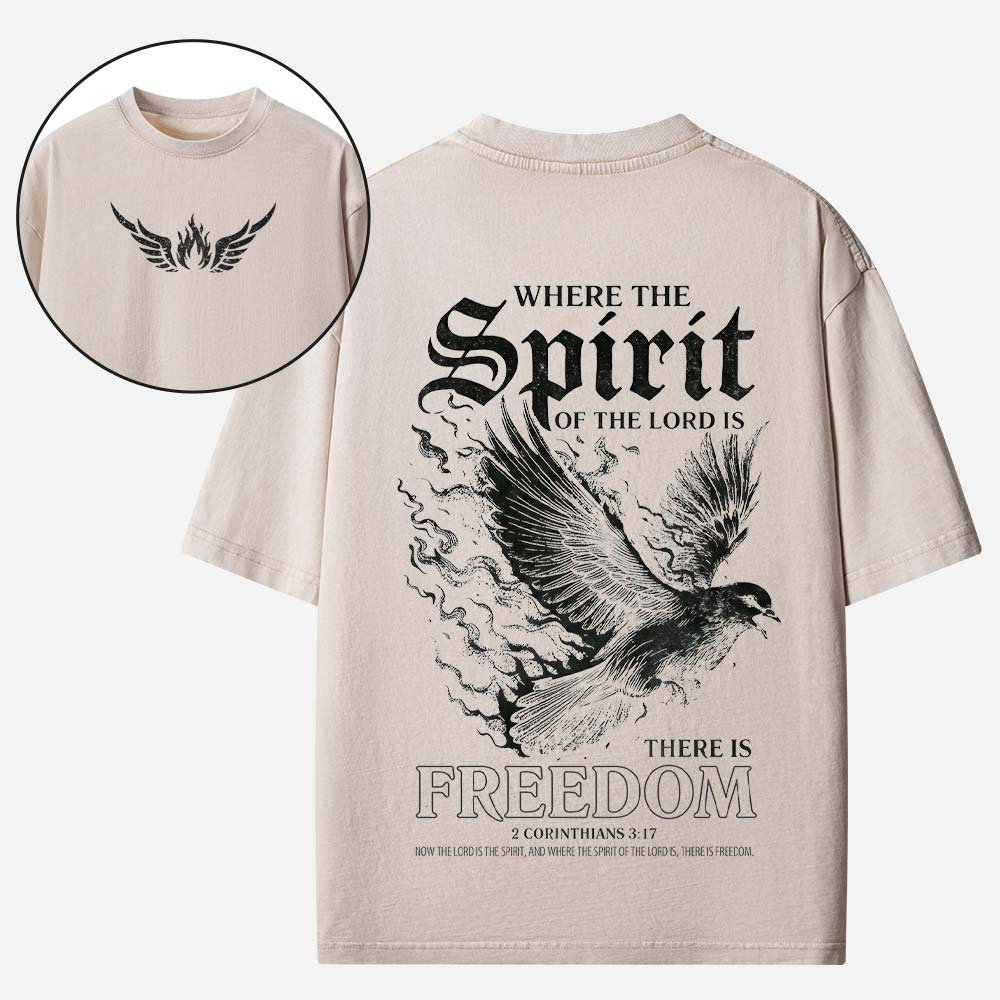 Dove Graphic Vintage Washed T-Shirt