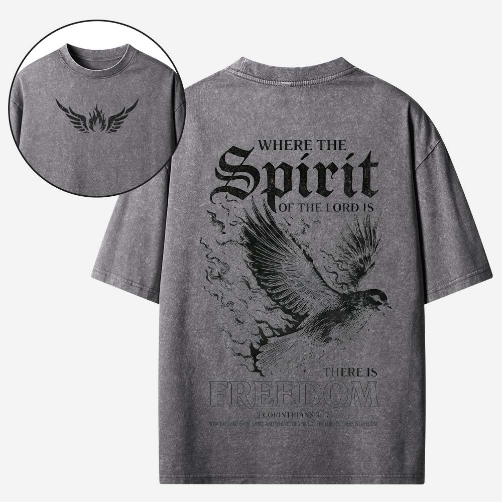 Dove Graphic Vintage Washed T-Shirt