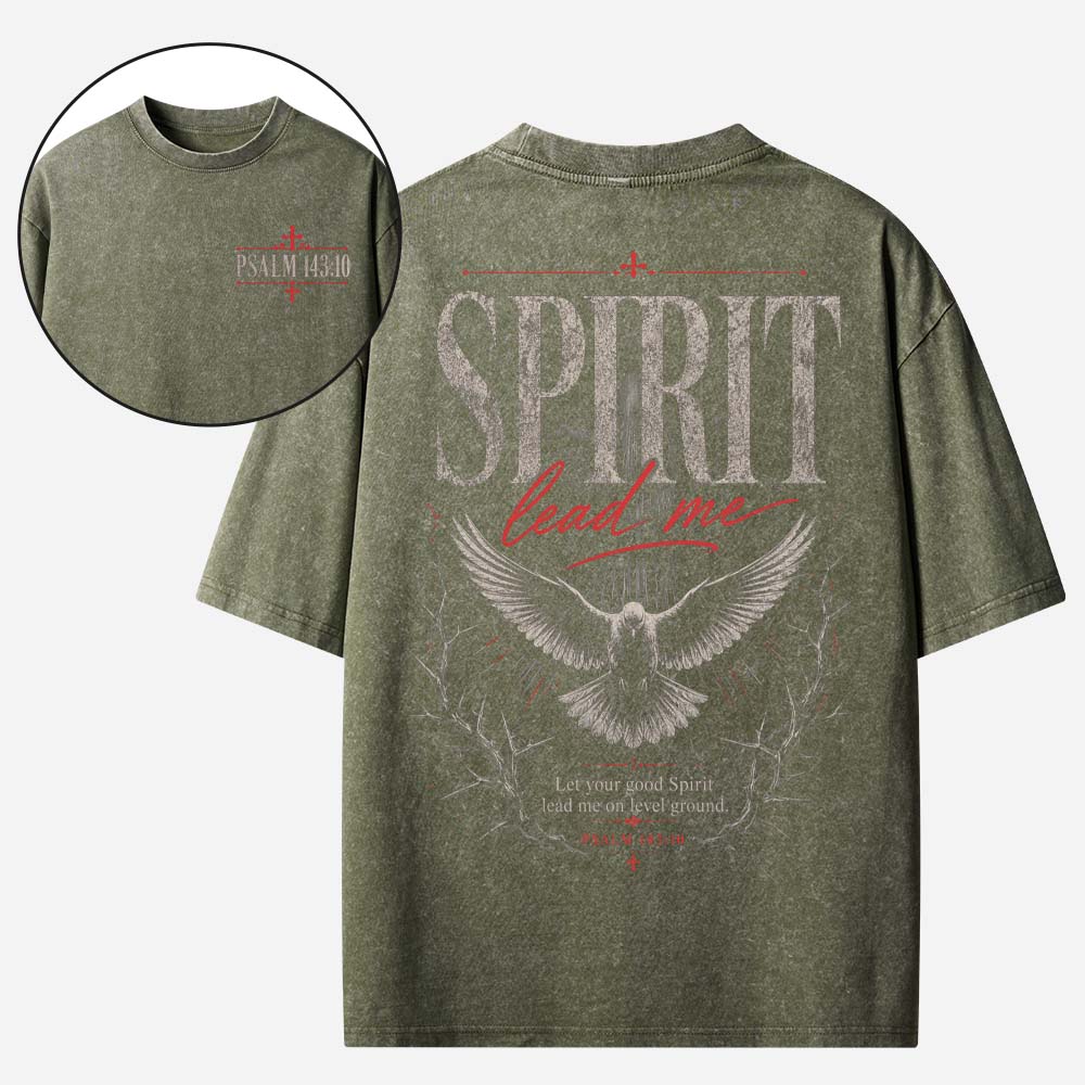 Guiding Dove Vintage Washed T-Shirt