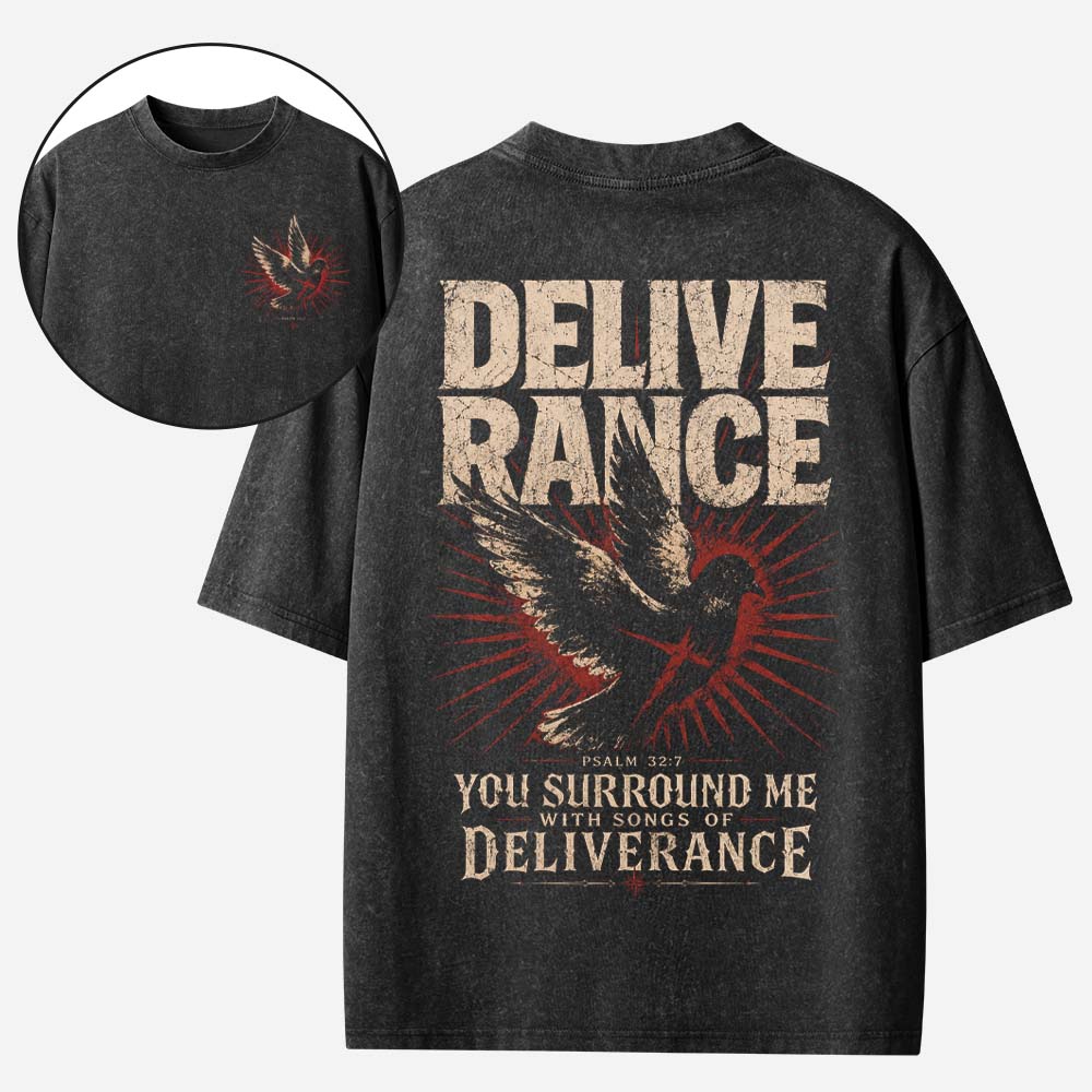 Rescue Dove Vintage Washed T-Shirt
