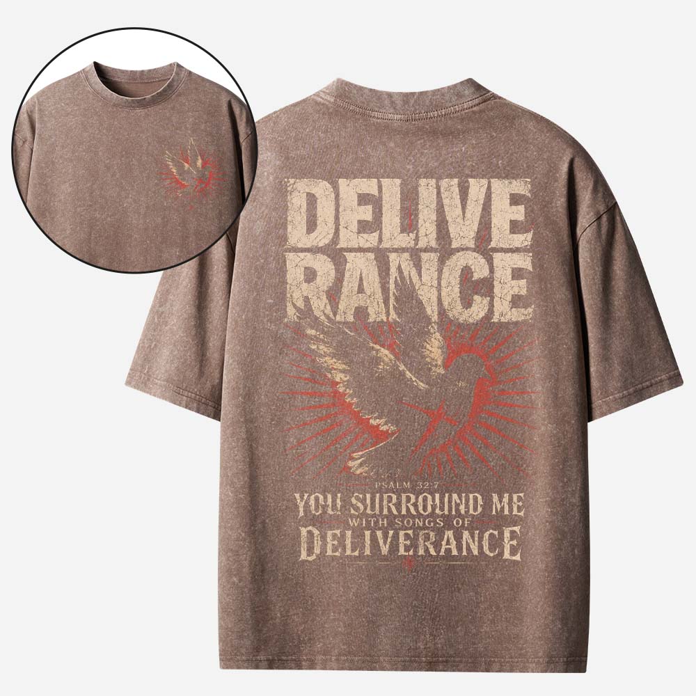 Rescue Dove Vintage Washed T-Shirt