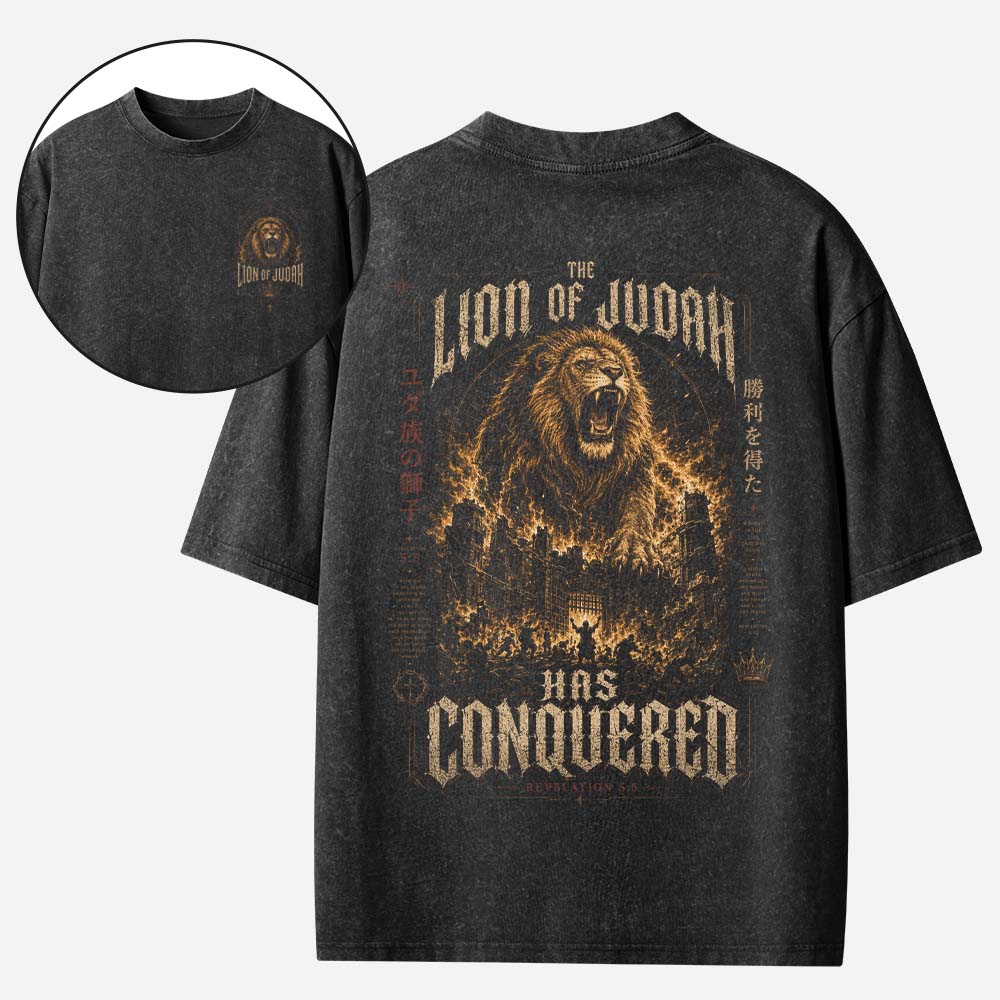 Roaring Lion Vintage Washed T-Shirt