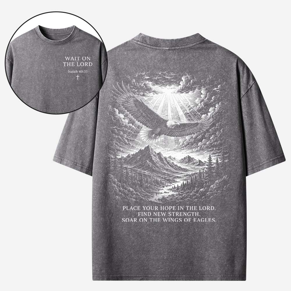 Soaring Eagle Vintage Washed T-Shirt