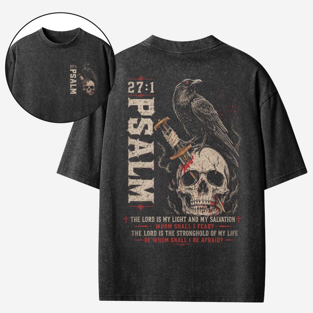 Raven Skull Vintage Washed T-Shirt