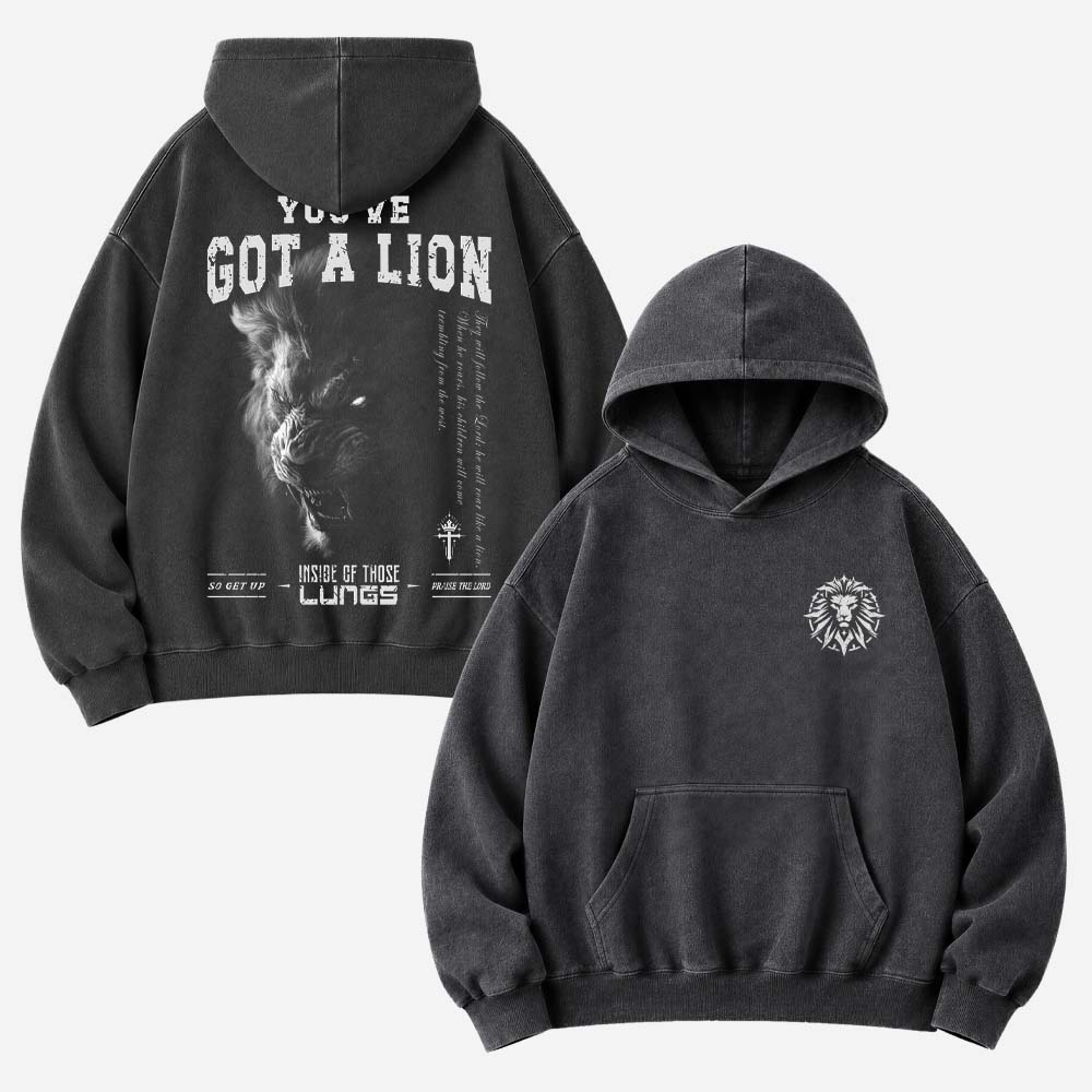 You've Got A Lion Vintage Washed Hoodie