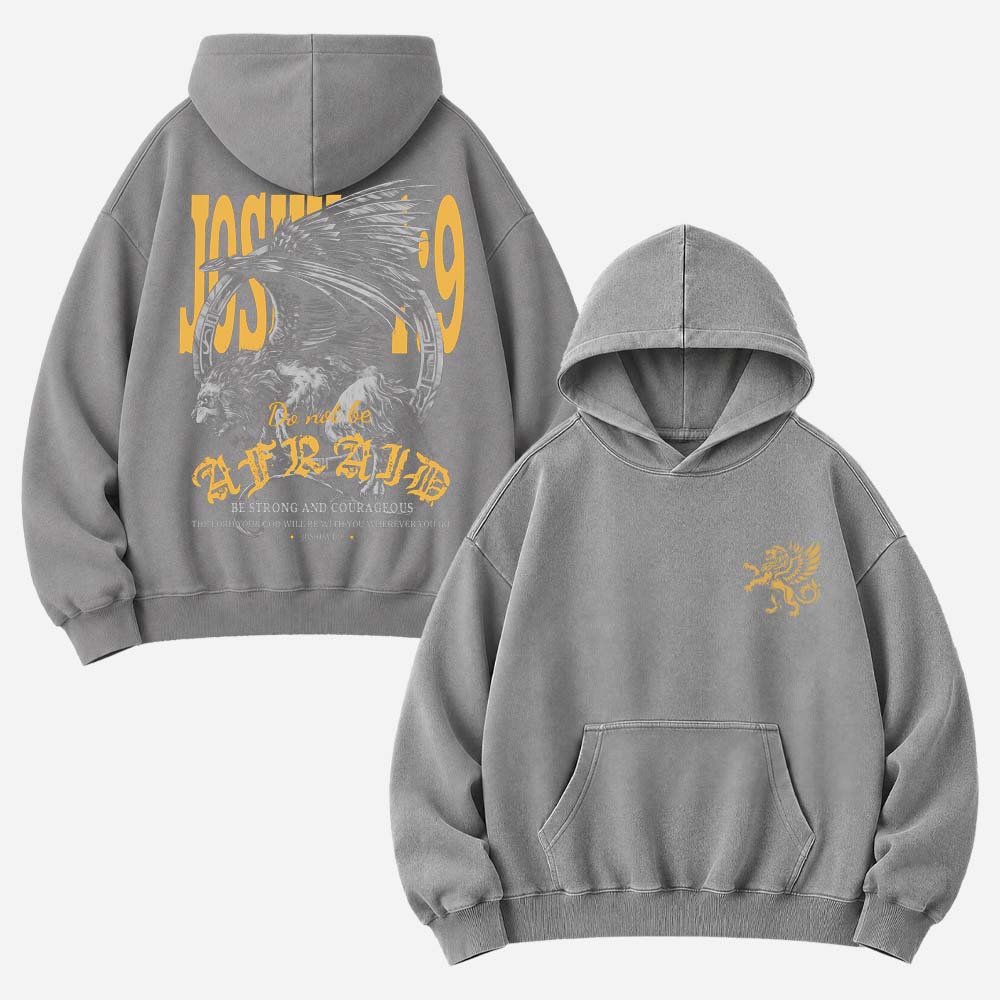 Fearless Vintage Washed Hoodie