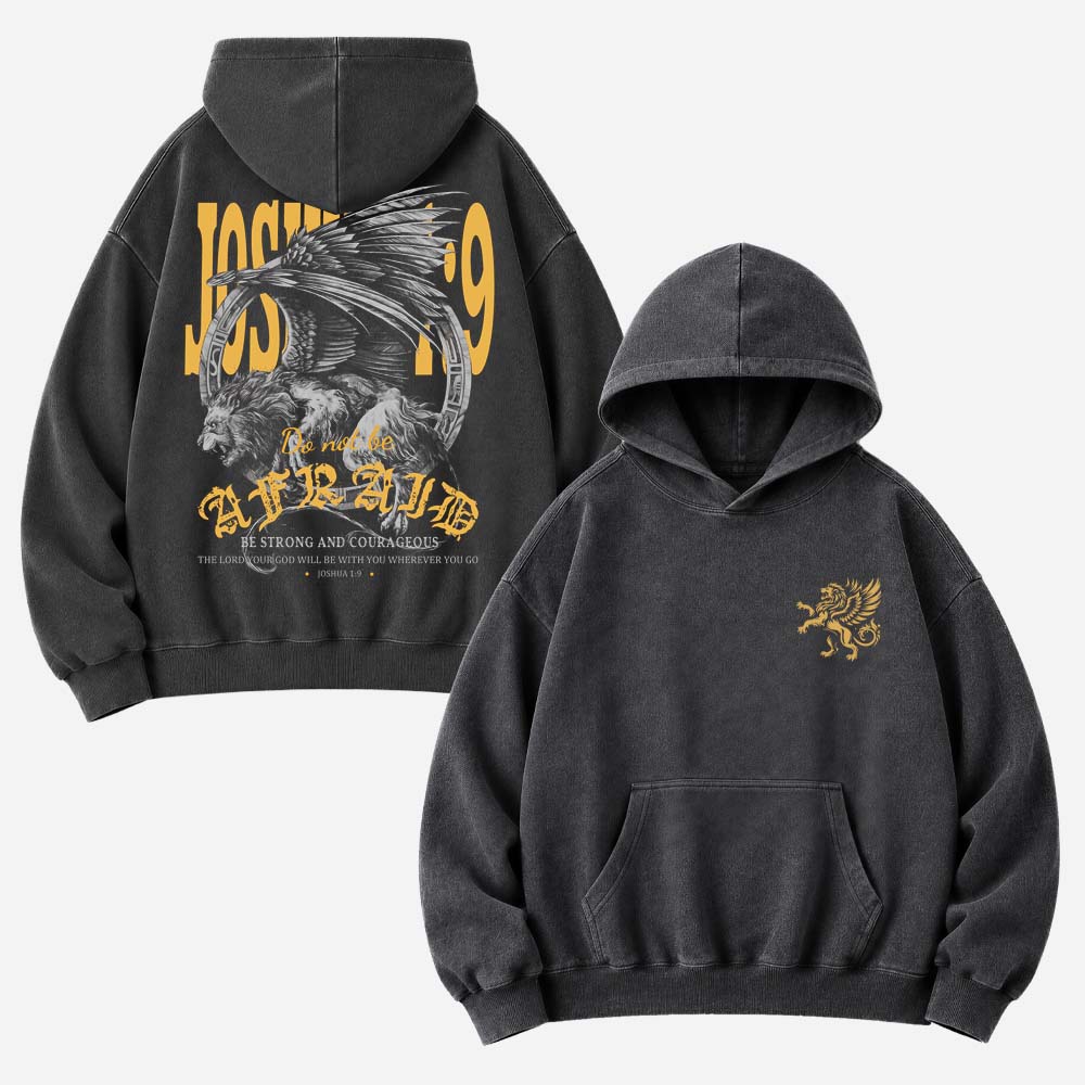 Fearless Vintage Washed Hoodie