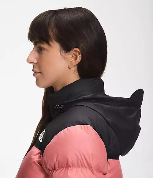 The Nothtrth Fathtce Women 1996 Retro Nuptse Jacket