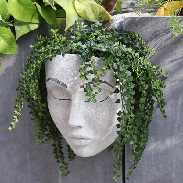 👹 Halloween Hot Sale 50% OFF🎁Plant Faces🤡