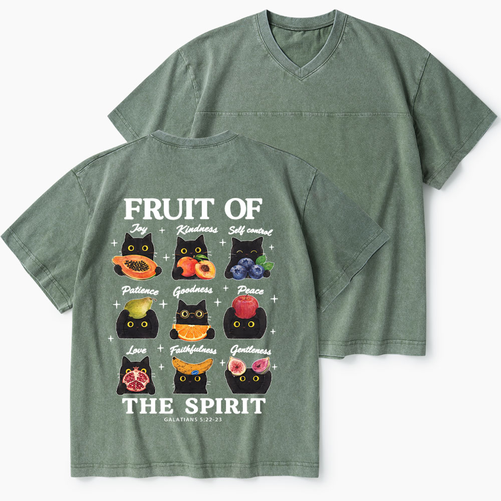Fruit Of The Spirit Christian Washed V-Neck T-Shirt-Teevibe