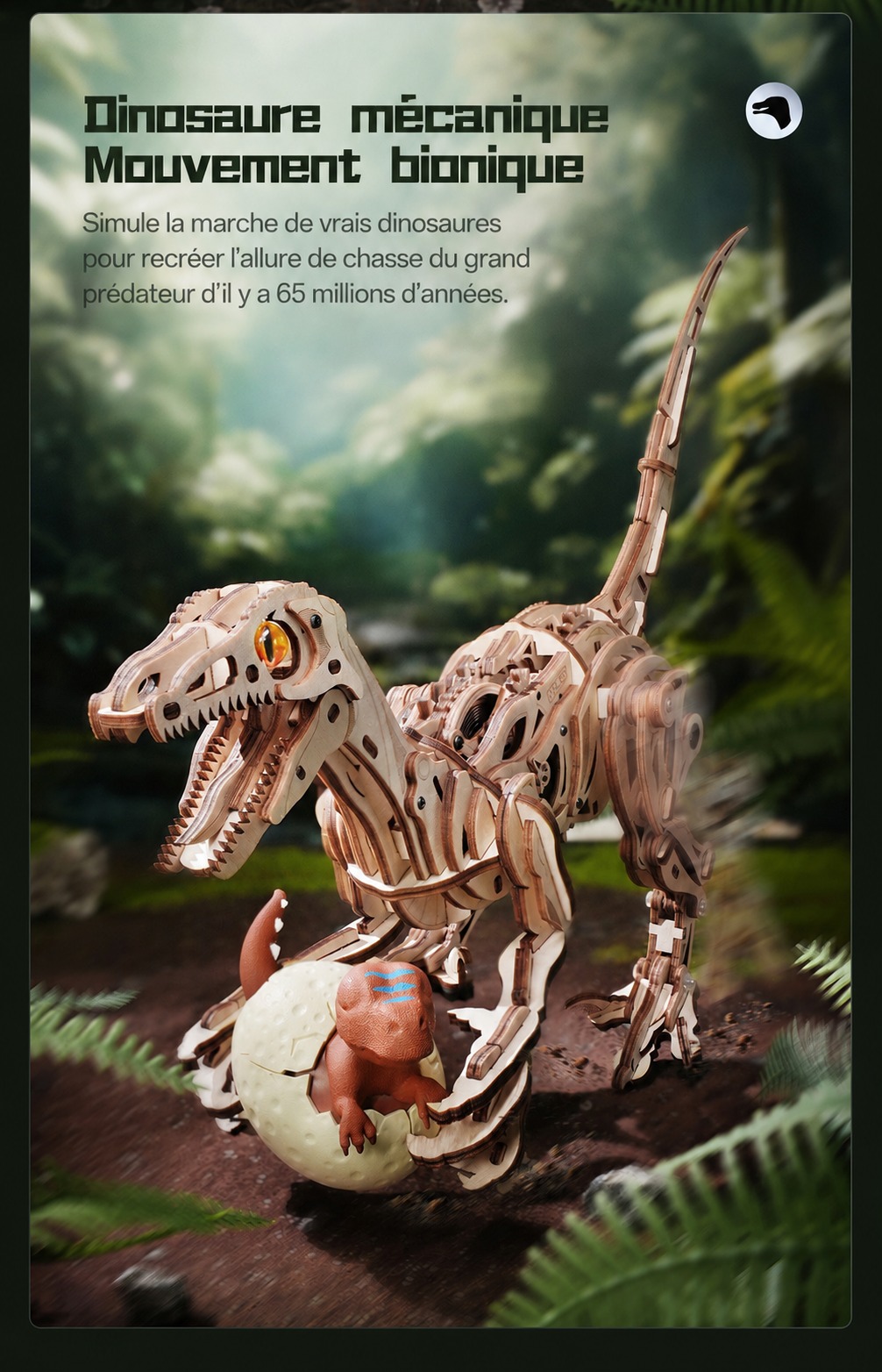 ROKR Velociraptor - puzzle dinosaure 3D en bois LD01, visuel de detail 1