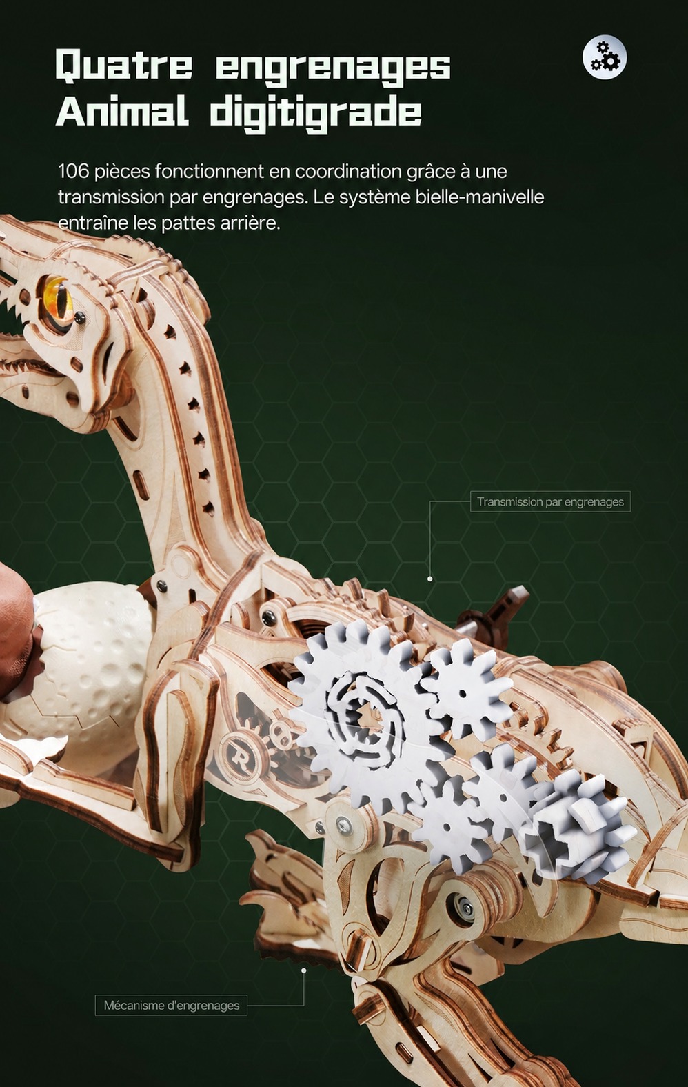 ROKR Velociraptor - puzzle dinosaure 3D en bois LD01, visuel de detail 2
