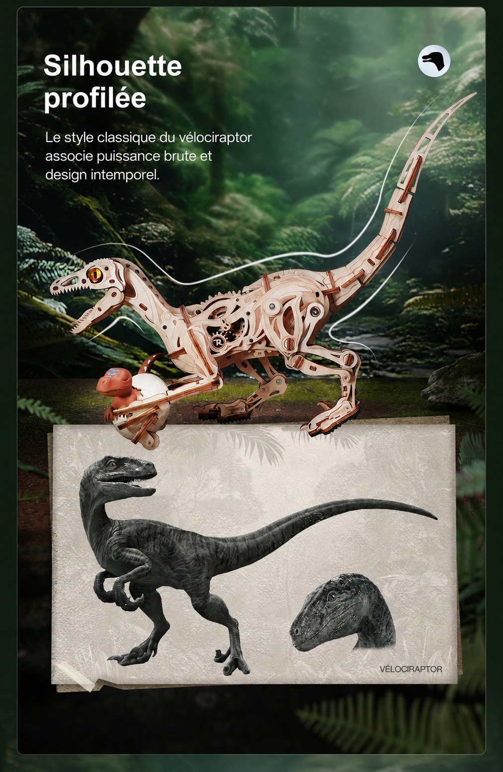 ROKR Velociraptor - puzzle dinosaure 3D en bois LD01, visuel de detail 4