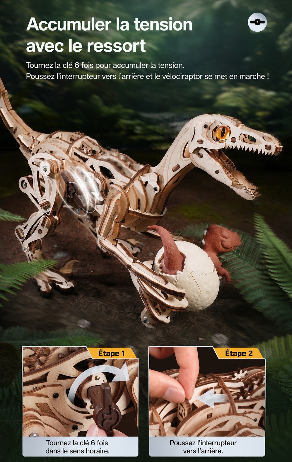 ROKR Velociraptor - puzzle dinosaure 3D en bois LD01, visuel de detail 5