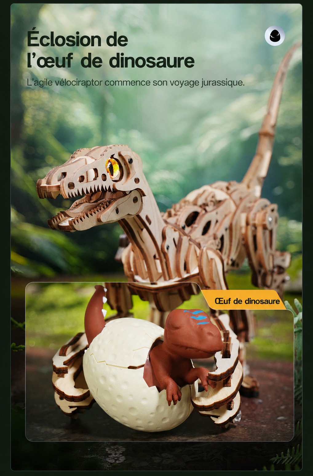 ROKR Velociraptor - puzzle dinosaure 3D en bois LD01, visuel de detail 7