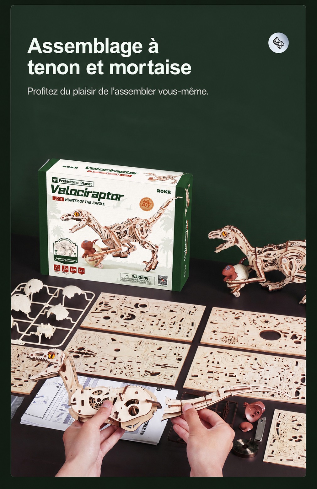 ROKR Velociraptor - puzzle dinosaure 3D en bois LD01, visuel de detail 8