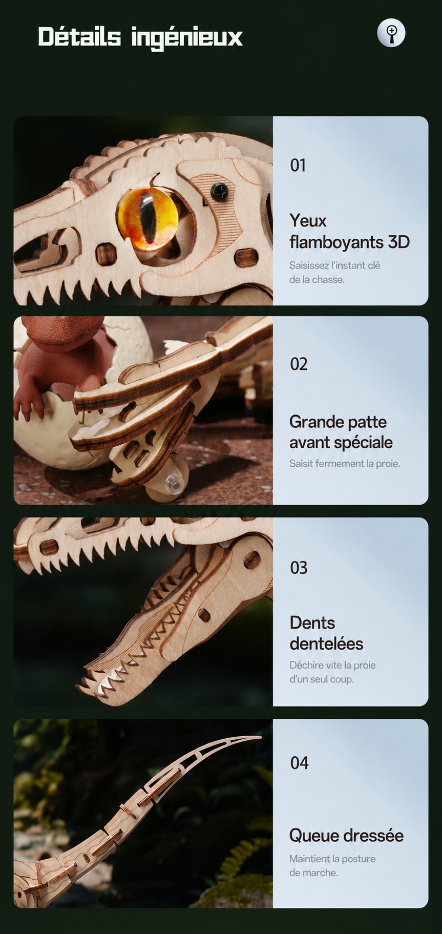 ROKR Velociraptor - puzzle dinosaure 3D en bois LD01, visuel de detail 9