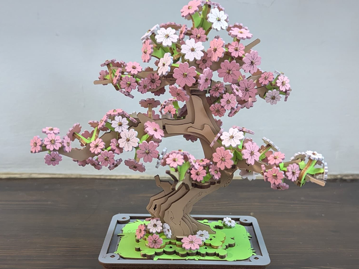 Le parcours de Jill avec le Rolife Sakura Bonsai