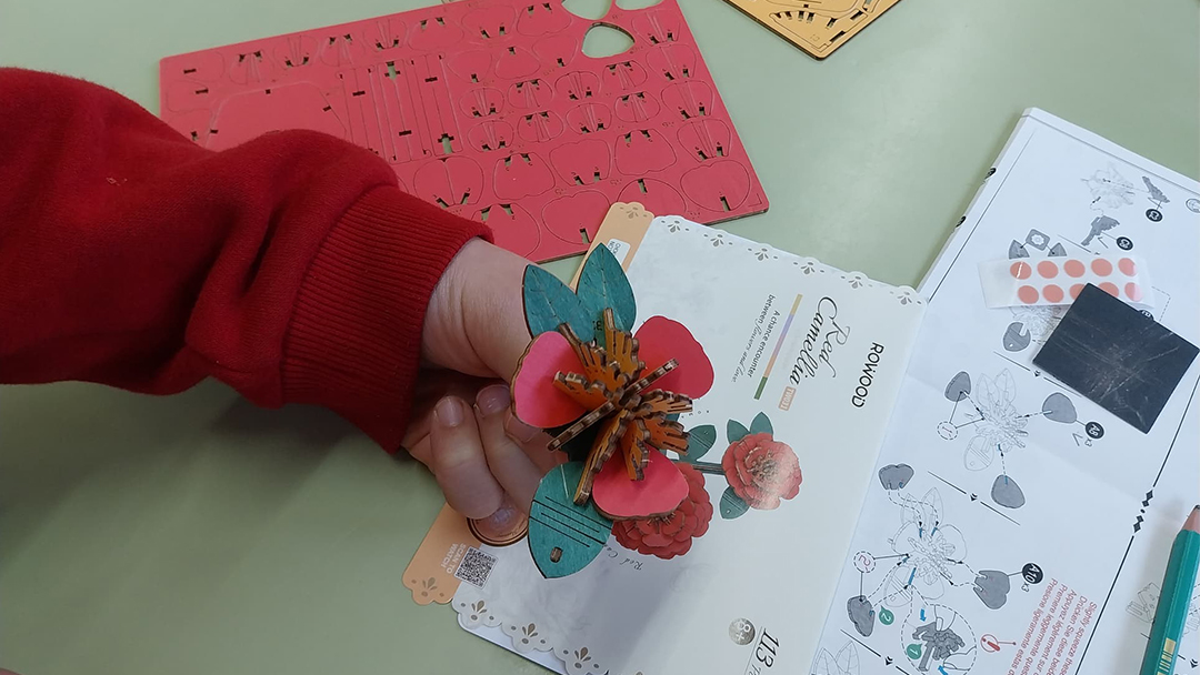 Leçons de travail d’équipe et de patience : le parcours de Wenbare avec Red Camelia