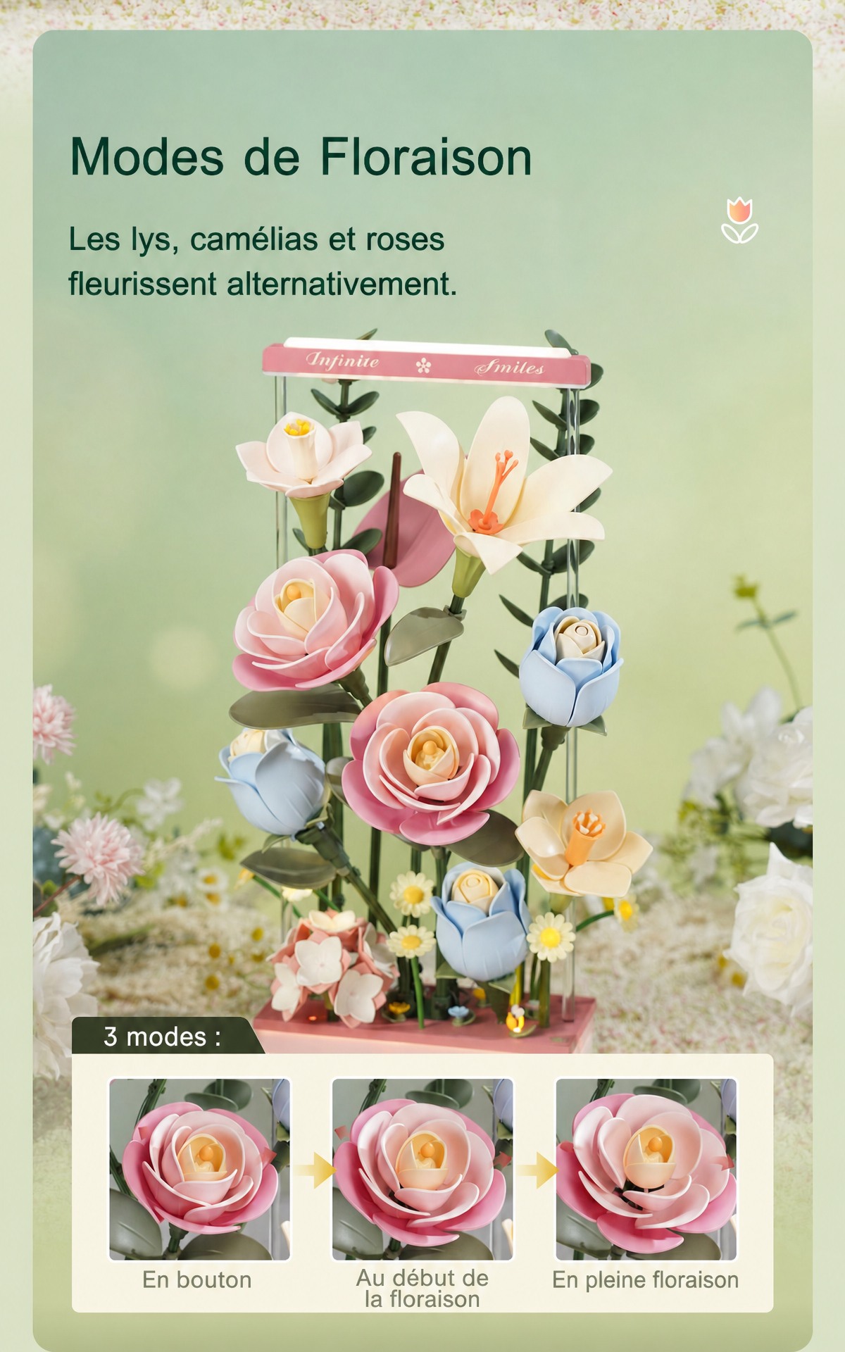 ROKR Blooming Bouquet Box AF01D cover avec pastel floral art arrangement