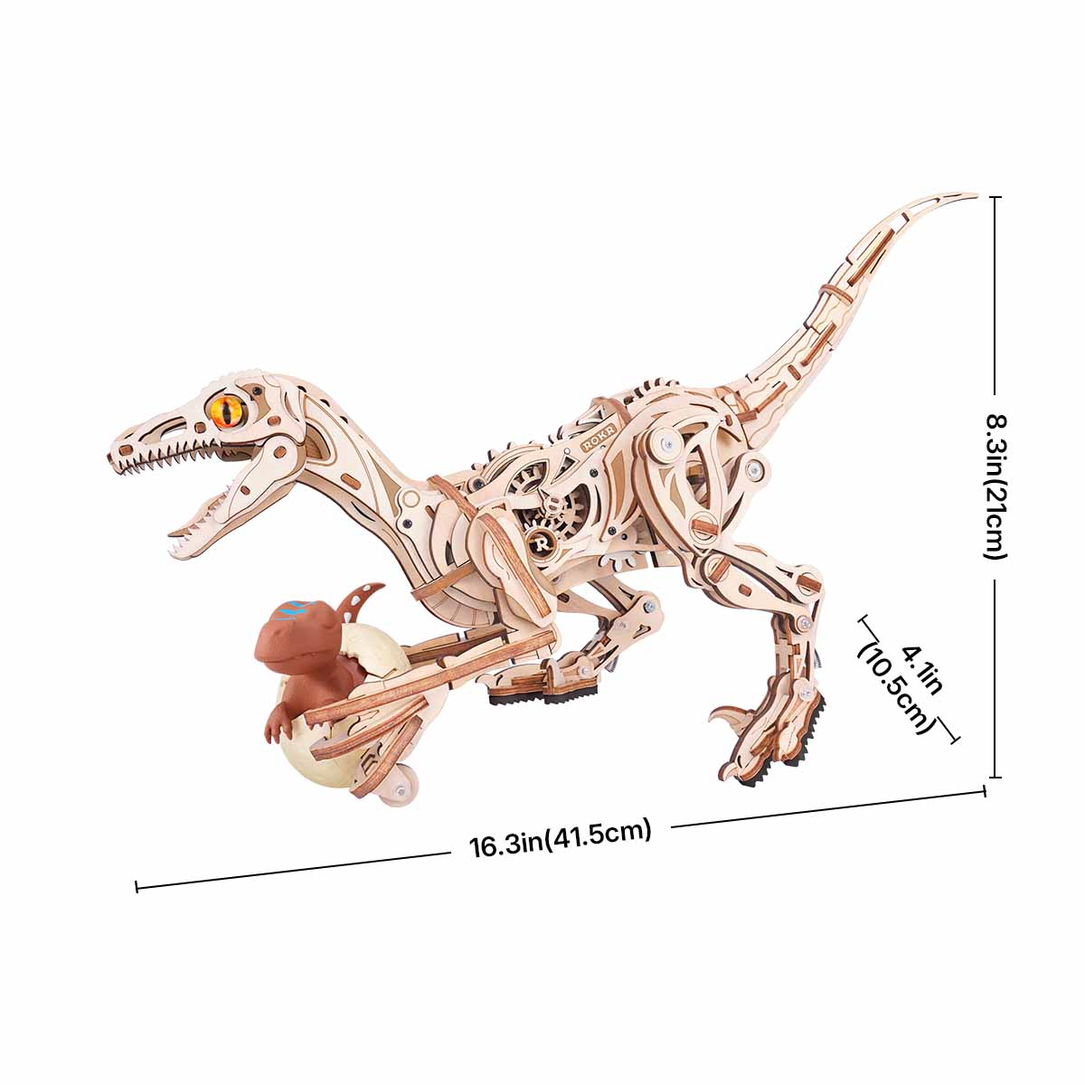 Graphique de taille ROKR Velociraptor LD01 montrant une longueur assemblée de 41,5 cm