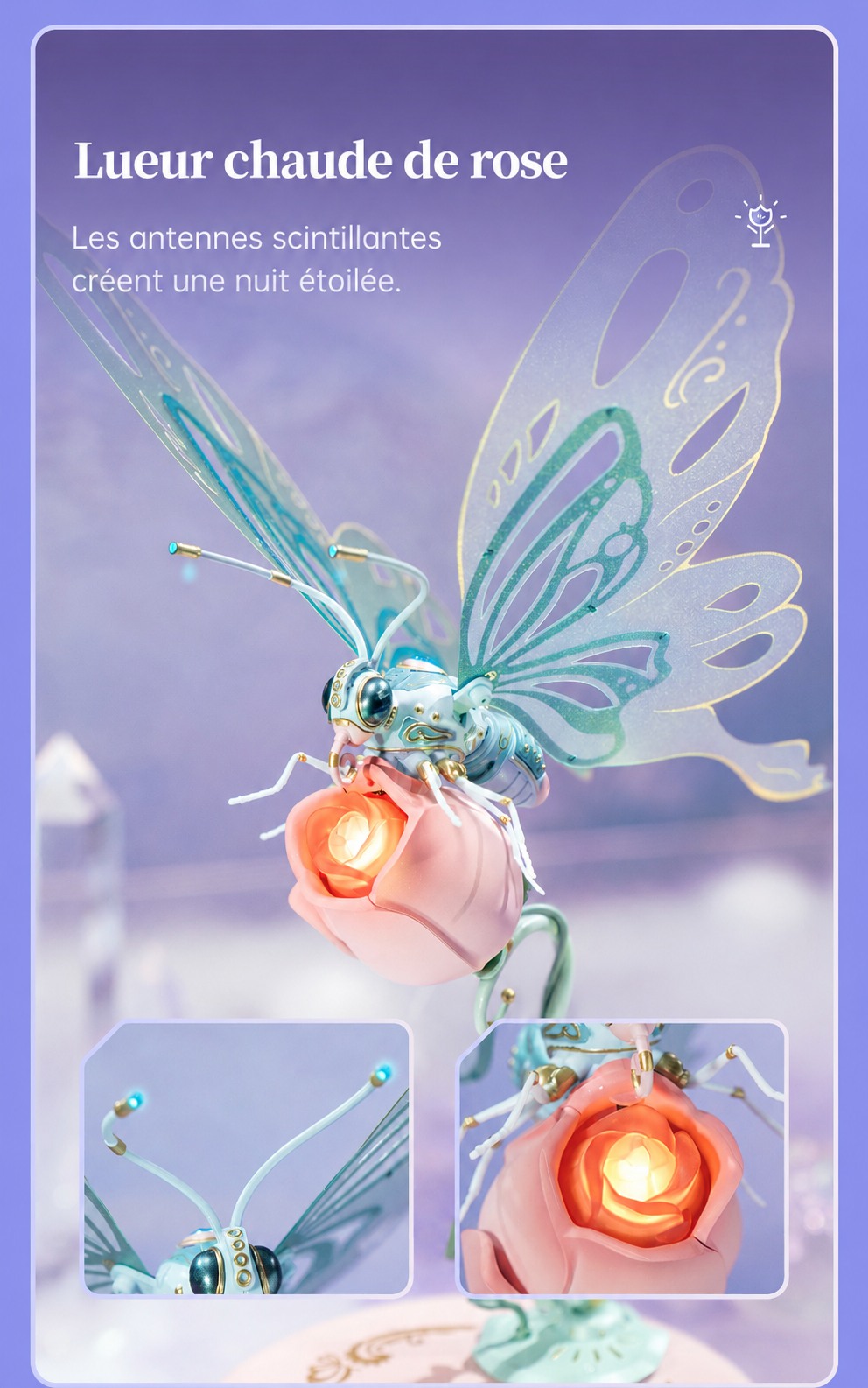 ROKR Butterfly MI05 blue butterfly title affiche