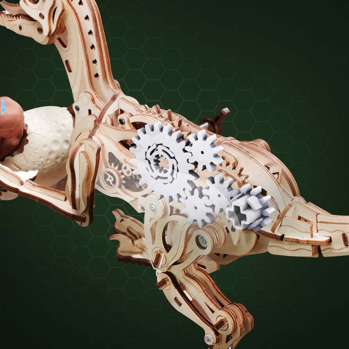 ROKR Velociraptor LD01 gros plan de la transmission à engrenages à l'intérieur du corps de dinosaure en bois