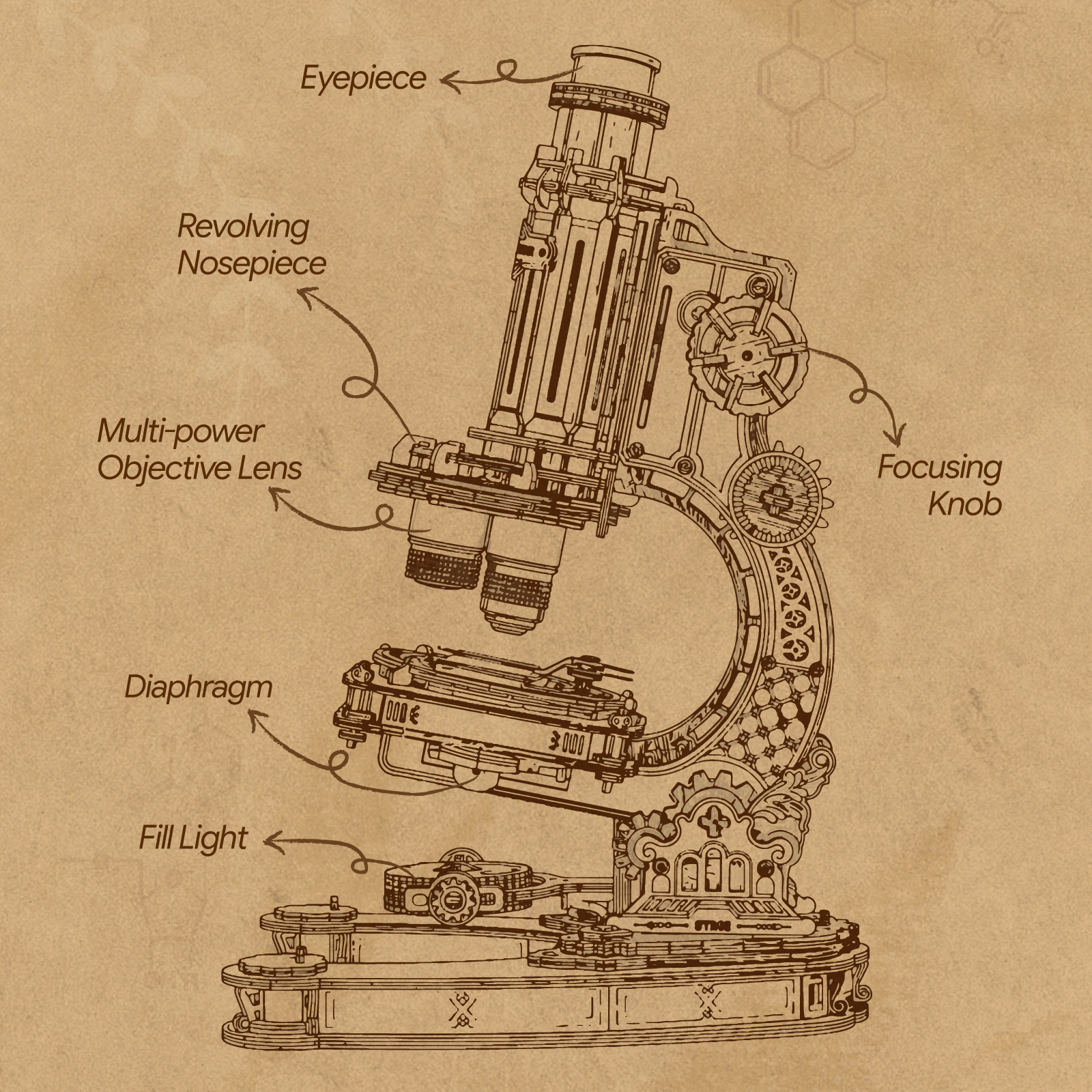 Vue produit supplémentaire 6 de ROKR Microscope ST005 - Kit de maquette en bois 3D, SKU ST005