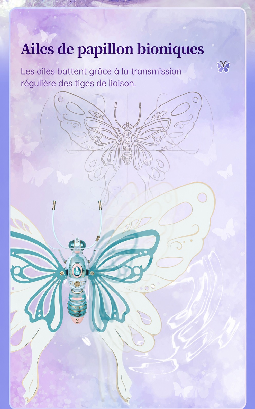 ROKR Butterfly MI05 blue butterfly title affiche