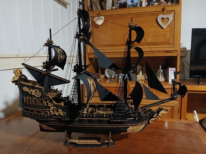 Barque Hippocampe ROKR terminée, partagée comme première construction Robotime