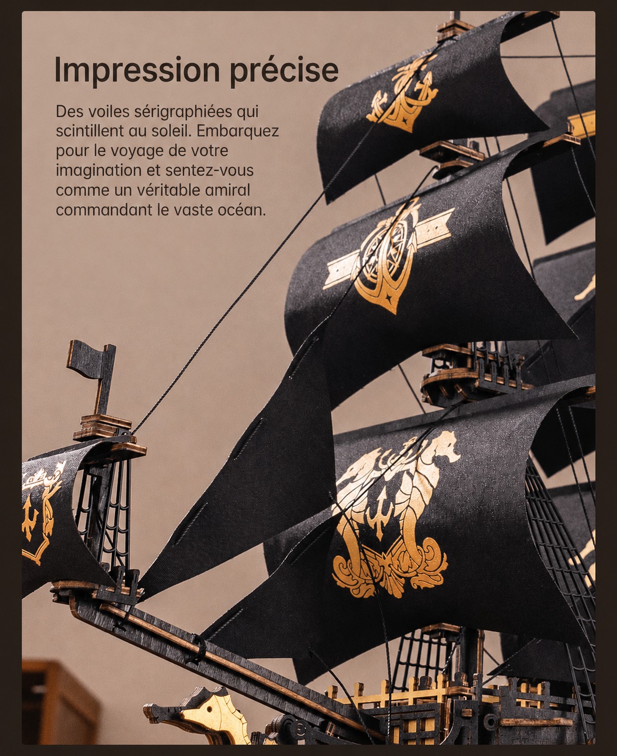 ROKR The Seahorse Barque - puzzle 3D en bois MCB02, visuel de detail 7