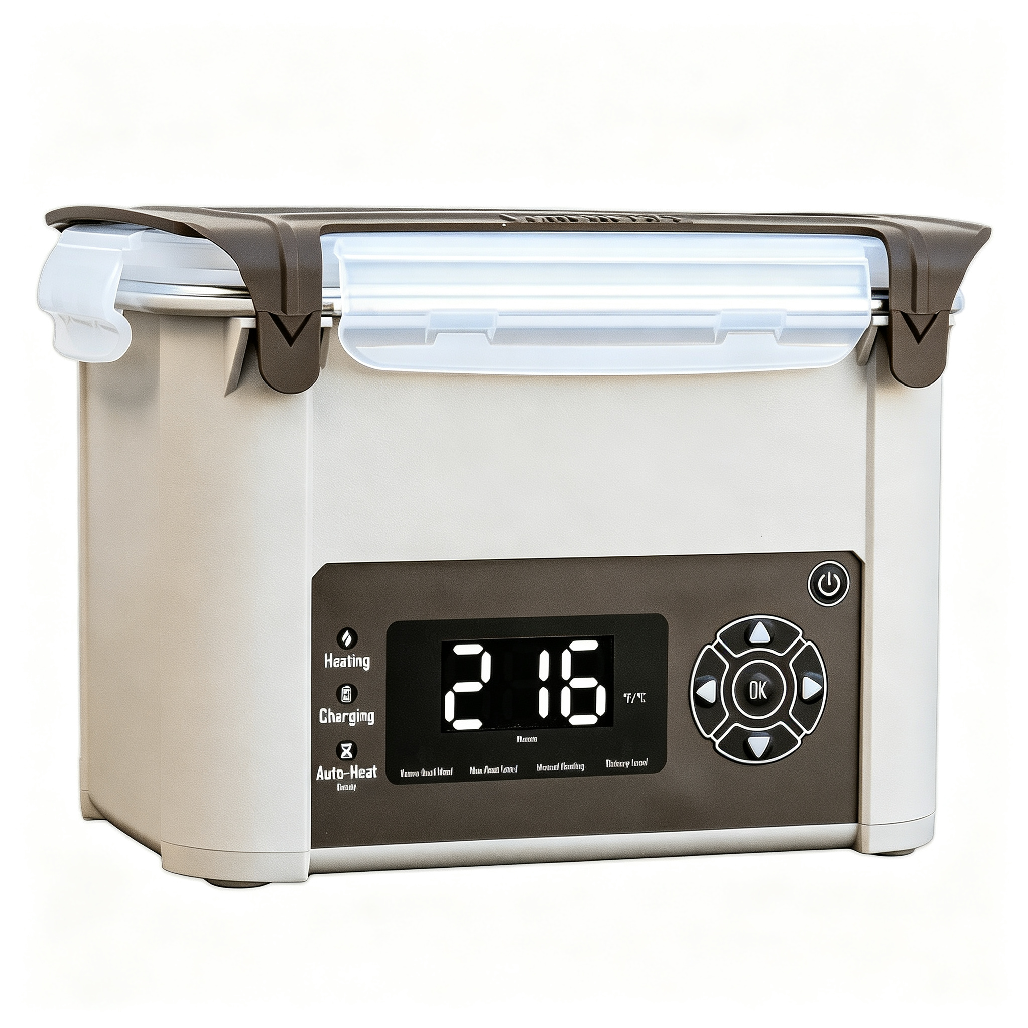 Lunch Box for Adults